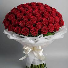 Букет 101 Красная роза Блэк Мэджик в Жуков