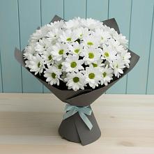 Букет цветов из:  Хризантемы #REPLACE_PRED# Жуков