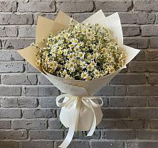 Букет цветов из:  Ромашки в Жуков
