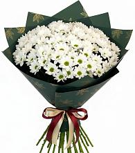 Букет цветов из:  Хризантемы в Жуков