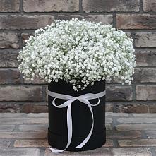 Цветочная композиция из Гипсофила в шляпной коробке в Жуков